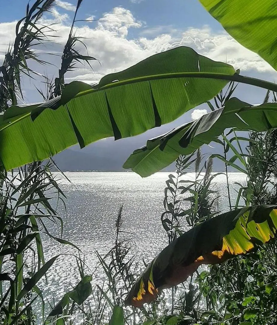 Jaja Cabanas Palhoca Brazil